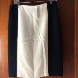 Ann Taylor skirt